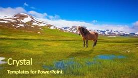  Presentation with green lake - Slide deck with chestnut icelandic horse grazing in the meadow summer iceland small lake surrounded by green fields background and a tawny brown colored foreground