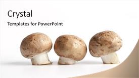  Presentation with bisporus - Audience pleasing PPT theme consisting of chestnut mushrooms agaricus bisporus backdrop and a white colored foreground
