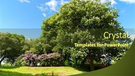  Presentation with spring tree - Presentation theme consisting of chestnut tree in spring park background and a tawny brown colored foreground