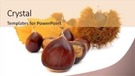  Presentation with edible nuts - Colorful PPT layouts enhanced with chestnuts edible nuts on white backdrop and a yellow colored foreground
