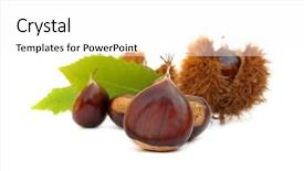  Presentation with edible nuts - Beautiful theme featuring chestnuts edible nuts on white backdrop and a white colored foreground