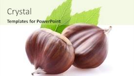  Presentation with engineering robotics development closeup electronics - Slide deck with chestnuts-in-closeup-on-white background and a soft green colored foreground