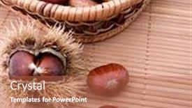  Presentation with shells - Presentation theme enhanced with chestnuts-in-their-shells background and a red colored foreground