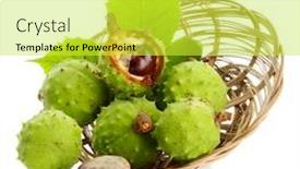  Presentation with leaves - Presentation consisting of chestnuts-with-leaves-in-basket background and a yellow colored foreground