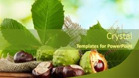  Presentation with green leaves - Presentation design having chestnuts-with-leaves-on-wooden background and a tawny brown colored foreground