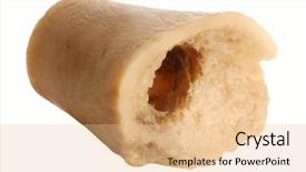  Presentation with bone marrow - Audience pleasing theme consisting of chewed dog bone isolated backdrop and a coral colored foreground