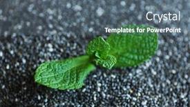  Presentation with mint - Theme featuring chia-seeds-with-mint-leaves background and a gray colored foreground