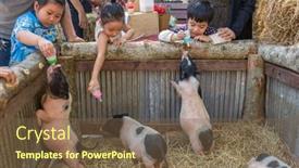  Presentation with chiang mai - 