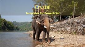  Presentation with camp - 