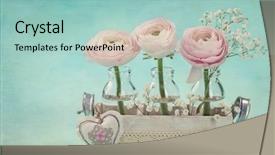  Presentation with pink blue - Slide set enhanced with chic - pink ranunculus flowers background and a mint green colored foreground