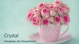  Presentation with pink roses - Amazing slide set having chic - pink roses in a cup backdrop and a soft green colored foreground