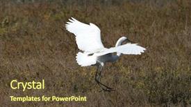  Presentation with wetlands - Cool new slide set with chica wetlands in orange county backdrop and a  colored foreground