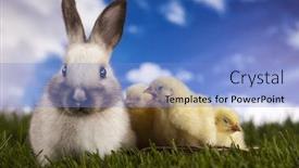  Presentation with chick - Cool new slide deck with chick in bunny backdrop and a light blue colored foreground