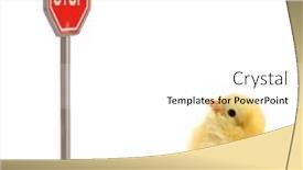  Presentation with chick - Slide set featuring chick-is-looking-in-stop background and a white colored foreground