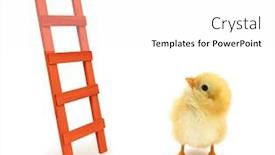  Presentation with chick - Colorful PPT layouts enhanced with chick-is-looking-up backdrop and a white colored foreground