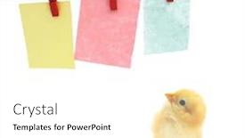  Presentation with notes about internal audit - Cool new PPT layouts with chick-is-looking-up backdrop and a white colored foreground