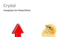  Presentation with motivation - Theme consisting of chick-is-looking-up background and a white colored foreground