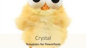  Presentation with funny animals - Presentation theme featuring chick-is-looking background and a blonde colored foreground