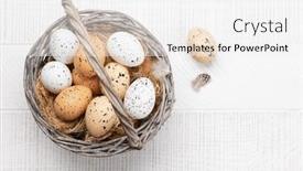  Presentation with quail - Presentation theme having chicken-and-quail-eggs background and a  colored foreground