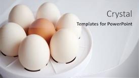  Presentation with egg - Audience pleasing slides consisting of chicken-eggs-in-a-egg backdrop and a light gray colored foreground