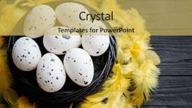  Presentation with black yellow - Colorful presentation design enhanced with chicken eggs in a nest backdrop and a yellow colored foreground