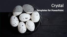  Presentation with rustic healthy - Audience pleasing slide set consisting of chicken eggs in a nest backdrop and a dark gray colored foreground