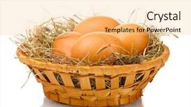  Presentation with chicken poultry farm white layer - PPT theme enhanced with chicken eggs in a nest background and a lemonade colored foreground