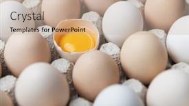  Presentation with food packaging - Beautiful slide deck featuring chicken-eggs-in-organic-packaging backdrop and a coral colored foreground