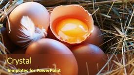  Presentation with broken egg - Colorful PPT theme enhanced with egg in the morning light backdrop and a tawny brown colored foreground