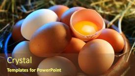  Presentation with broken egg - Presentation theme having colored cocktail umbrella isolated against white background background and a sky blue colored foreground