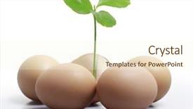  Presentation with offshore plant - Cool new presentation with chicken farm - egg ands plant backdrop and a  colored foreground