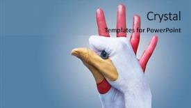  Presentation with example - Colorful slide set enhanced with chicken feather - woman colored hands as rooster backdrop and a teal colored foreground