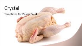  Presentation with broiler - Audience pleasing PPT layouts consisting of chicken isolated on white background backdrop and a sky blue colored foreground