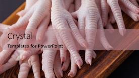  Presentation with food chicken - Slide set consisting of chicken-paw-on-dark-background background and a coral colored foreground