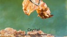  Presentation with grill - Audience pleasing presentation design consisting of chicken wings on barbecue grill with fire backdrop and a ocean colored foreground