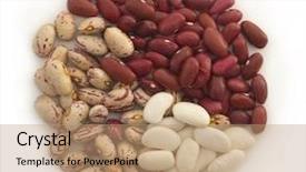  Presentation with chickpea - PPT theme with chickpea plant - beans in the circle background and a coral colored foreground