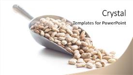  Presentation with beans - Presentation theme with chickpea plant - dried borlotti beans in scoop background and a white colored foreground