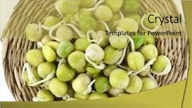  Presentation with chickpea - PPT theme featuring chickpea plant - pea seeds with sprouts close background and a yellow colored foreground