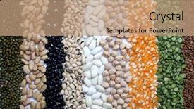 Presentation with chickpea - PPT theme with chickpea plant - various seeds and grains close background and a coral colored foreground