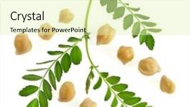  Presentation with chickpea - Colorful presentation theme enhanced with chickpea plant with seed isolated backdrop and a soft green colored foreground