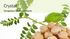  Presentation with chickpea - Presentation theme enhanced with chickpeas plant with seed heap background and a soft green colored foreground