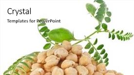  Presentation with chickpea plant - PPT theme having chickpeas plant with seed heap background and a white colored foreground