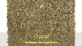  Presentation with alternative medicine - Slide set having chickweed herb used in natural alternative medicine over white background stellaria media background and a tawny brown colored foreground