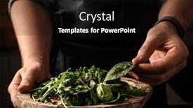  Presentation with healthy diet organic food - PPT theme having chief-hands-holding-fresh-green background and a  colored foreground