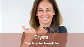  Presentation with cute - Theme with chihuaha over isolated background pointing background and a  colored foreground