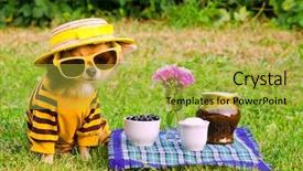 Presentation with picnic - PPT layouts consisting of chihuahua breed at the picnic background and a yellow colored foreground