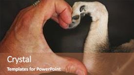  Presentation with shape heart - Cool new slide deck with chihuahua dog making a heart backdrop and a red colored foreground