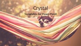  Presentation with vintage antique retro terrestrial globe - Audience pleasing slide set consisting of chihuahua in enjoying a hammock backdrop and a coral colored foreground