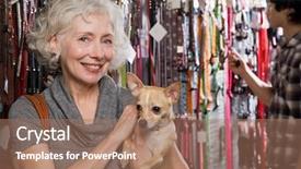  Presentation with pet - Slide set with chihuahua in pet shop background and a coral colored foreground