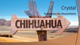  Presentation with mexican - Amazing slides having chihuahua wooden sign with desert backdrop and a light blue colored foreground